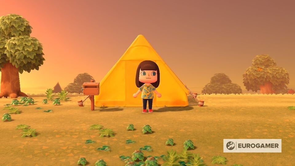 Animal Crossing Inventory and Storage upgrades How to expand and